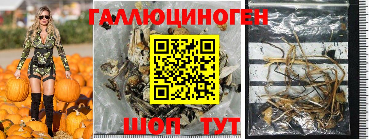 Галлюциногенные грибы Psilocybe  Вход с VPN  Галлюциногенные грибы ЛСД  Воркута 
